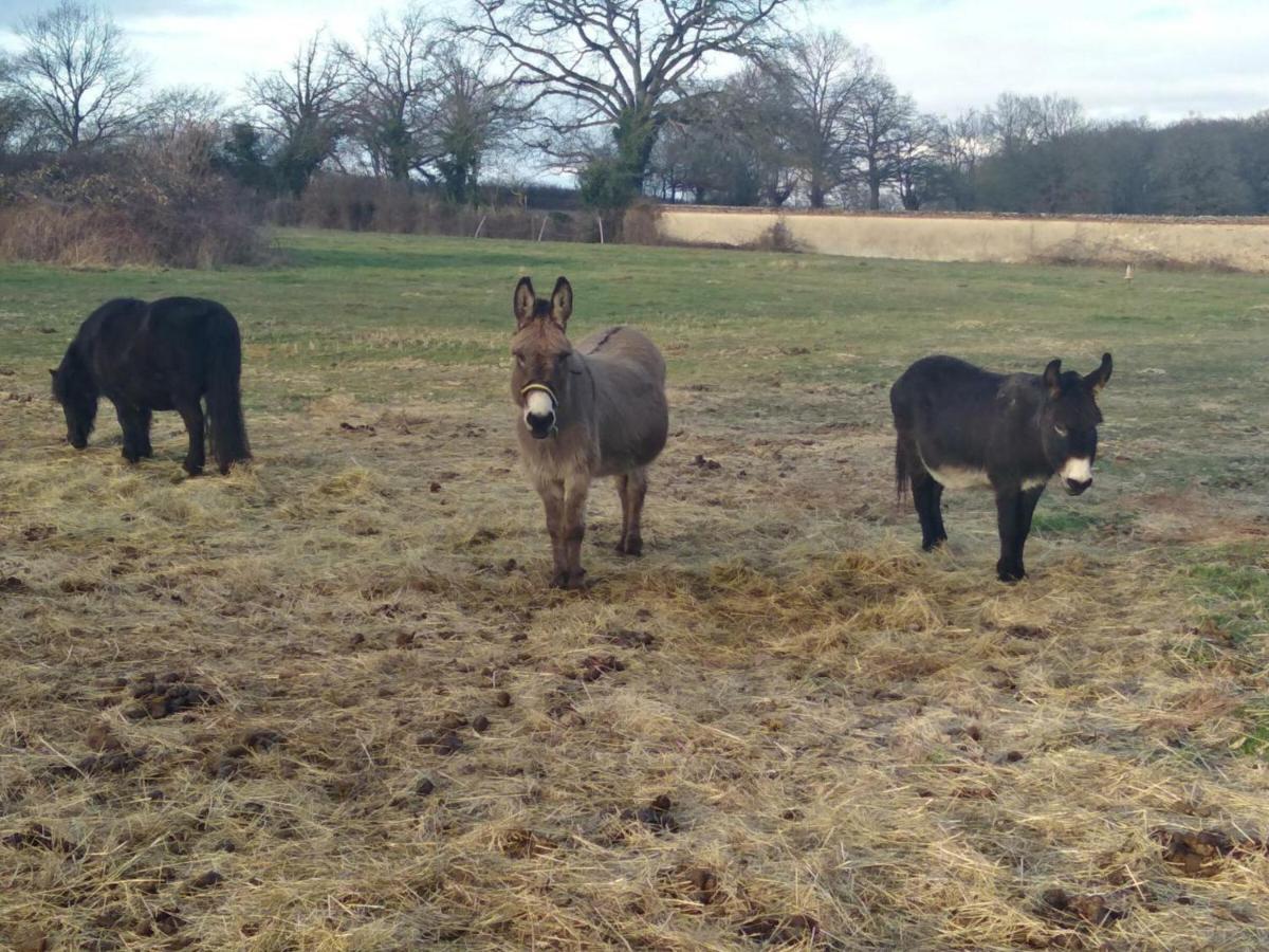 Bergerie Restauree Avec Cheminee, Jardin Clos, Animaux Acceptes - Fr-1-489-13 Sauvagny Buitenkant foto