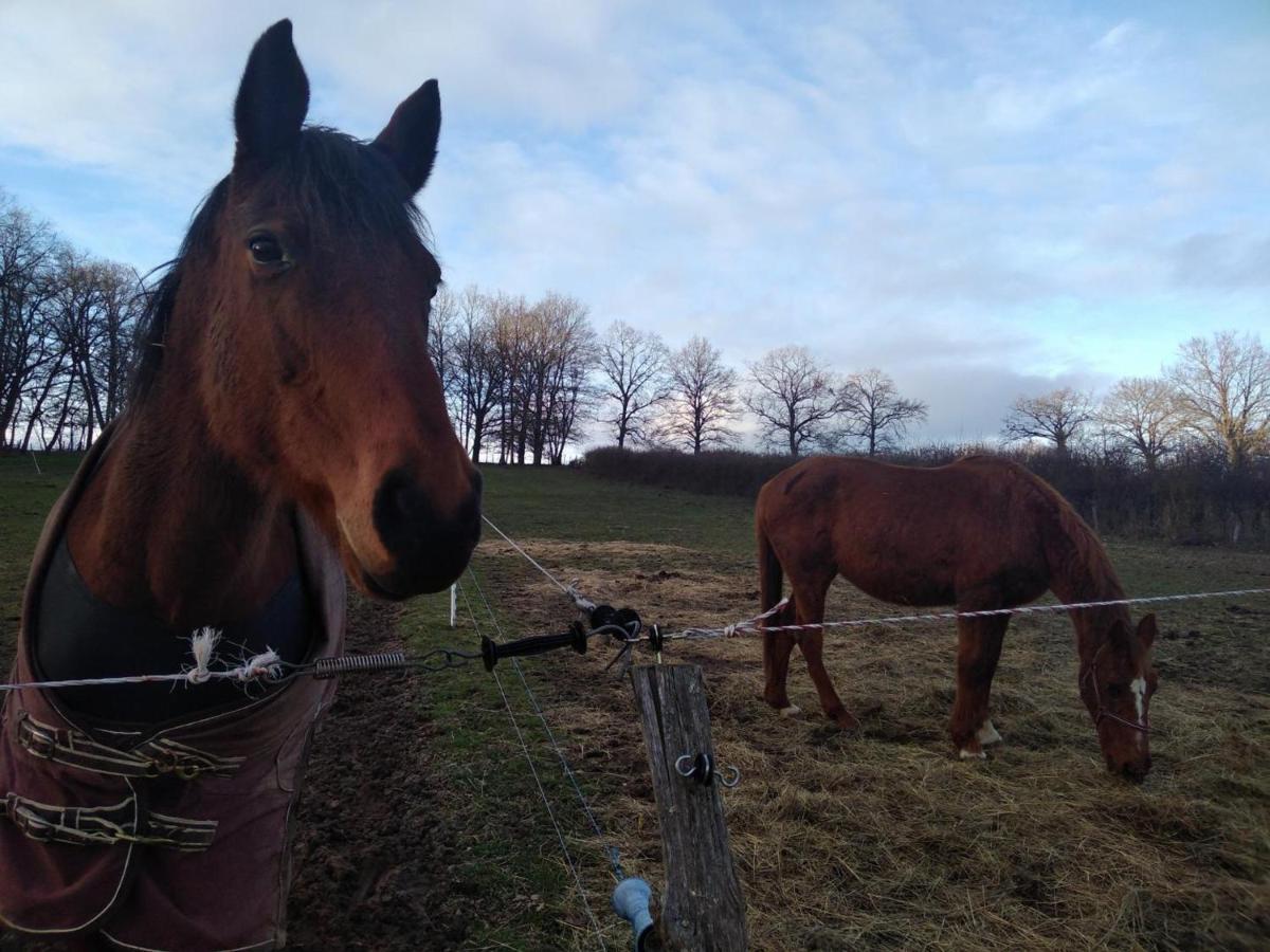Bergerie Restauree Avec Cheminee, Jardin Clos, Animaux Acceptes - Fr-1-489-13 Sauvagny Buitenkant foto
